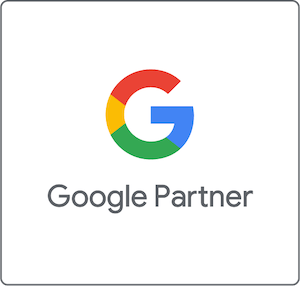 Google Partner badge Loom Digital
