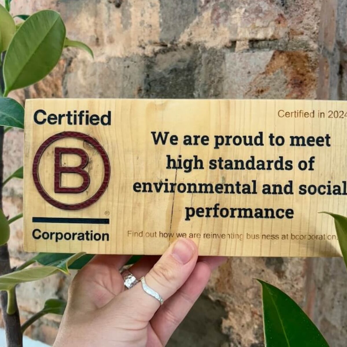 B Corp Award For Loom Digital