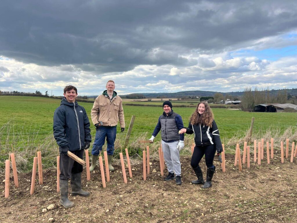 Loom team members planting trees for charity