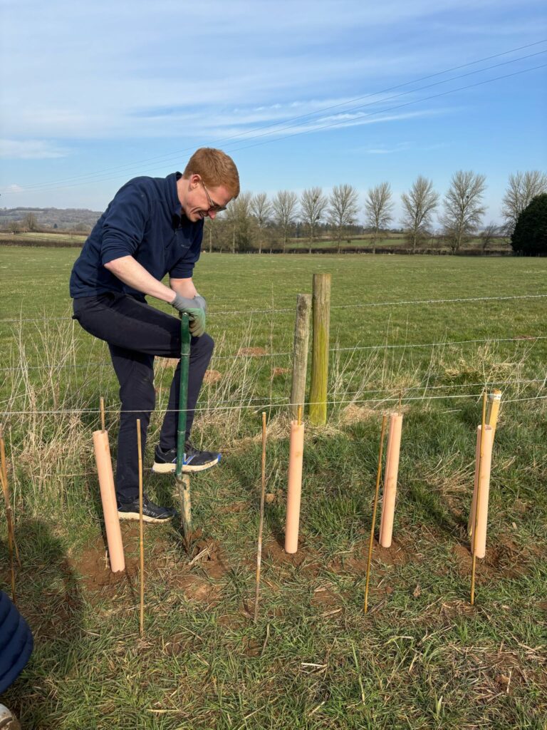 Loom team member Tommy planting trees