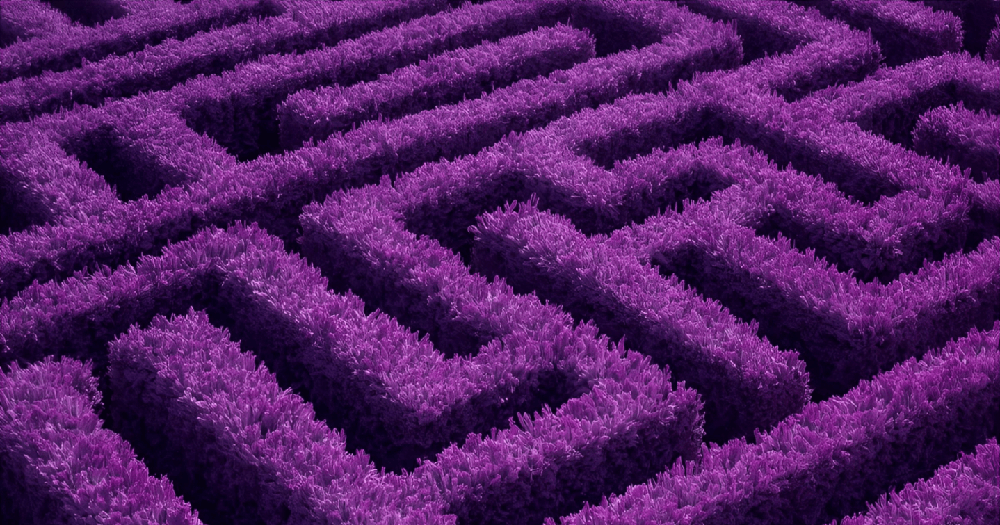 purple maze