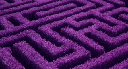 purple maze